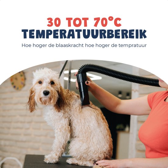 JC Pets Professionele Hondenfohn - Waterblazer voor Honden - Hondenblazer met geluiddemper - Haardroger Hond - Stil Model - Inclusief 4 Opzetstukken - 2800W