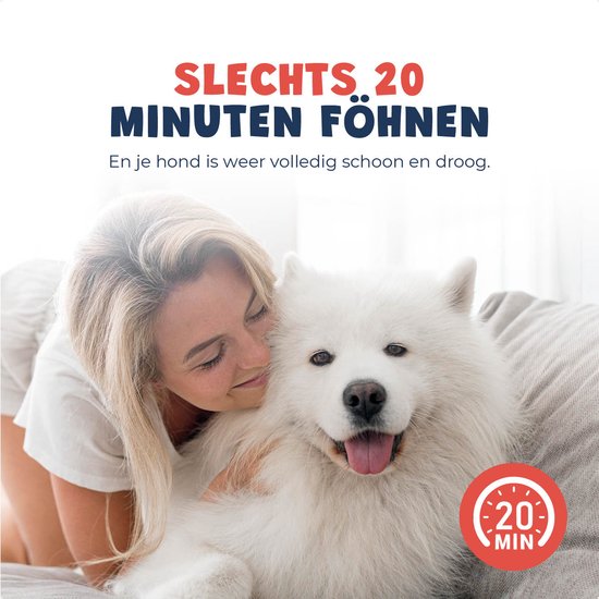 JC Pets Professionele Hondenfohn - Waterblazer voor Honden - Hondenblazer met geluiddemper - Haardroger Hond - Stil Model - Inclusief 4 Opzetstukken - 2800W