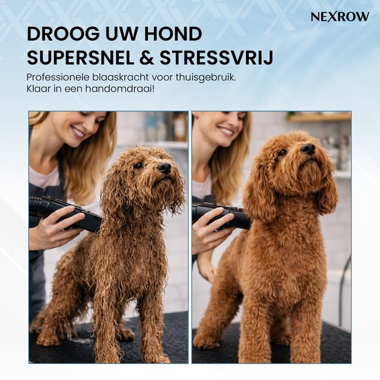NEXROW® Professionele Hondenföhn 3800W – Waterblazer voor Honden met LCD Display – Stil Design met Negatieve Ionen Functie – 4 Opzetstukken – Wit