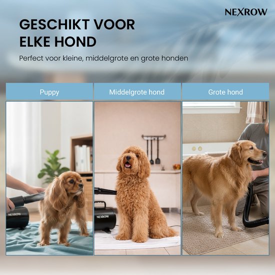 NEXROW® Professionele Hondenföhn 3800W – Waterblazer voor Honden met LCD Display – Stil Design met Negatieve Ionen Functie – 4 Opzetstukken – Zwart