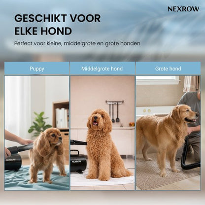 NEXROW® Professionele Hondenföhn 3800W – Waterblazer voor Honden met LCD Display – Stil Design met Negatieve Ionen Functie – 4 Opzetstukken – Zwart