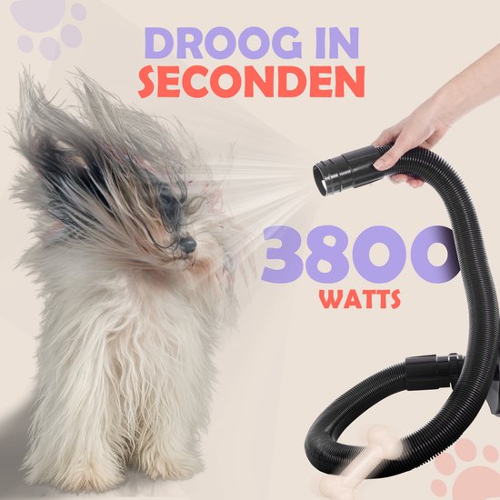 RobustRise Ultra Hondenfohn - 3800W - Wit - extra krachtig - Verstelbaar Vermogen - Waterblazer voor Honden - Hondenfohn met 4 Opzetstukken - Stil Design met geluidsdemper