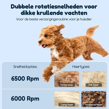 Hondentondeuse Dikke Vacht - Draadloos 5,5u - Fluisterstil <50dB - 2 Snelheden - Hondentrimmer - Honden Tondeuse Trimset - Video & E-book - RVS - Groomzo