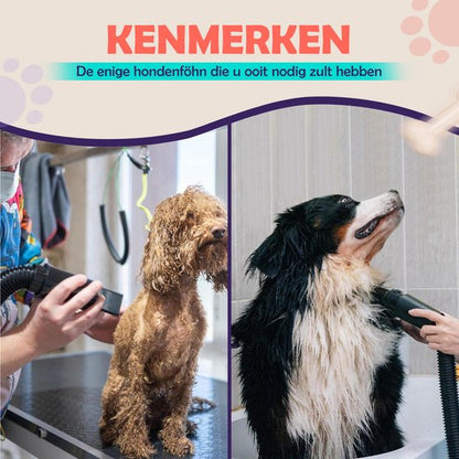 RobustRise Ultra Hondenfohn - 3800W - Wit - extra krachtig - Verstelbaar Vermogen - Waterblazer voor Honden - Hondenfohn met 4 Opzetstukken - Stil Design met geluidsdemper
