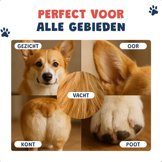 JC Pets Hondentondeuse & 3-in-1 Grooming Set – Draadloze Dieren Tondeuse voor Honden & Katten – RVS Hondentrimmer met Oplaadstation, Poottondeuse, Precisietondeuse & Elektrische Nagelslijper – Complete Trimset voor Alle Vachten