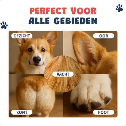 JC Pets Hondentondeuse & 3-in-1 Grooming Set – Draadloze Dieren Tondeuse voor Honden & Katten – RVS Hondentrimmer met Oplaadstation, Poottondeuse, Precisietondeuse & Elektrische Nagelslijper – Complete Trimset voor Alle Vachten