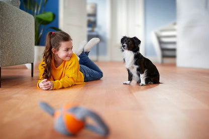 Philips PowerPro Expert FC9745/09 - Stofzuiger zonder zak