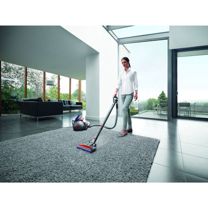 DYSON Big Ball Parquet 2 Paars